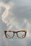 Tortoise