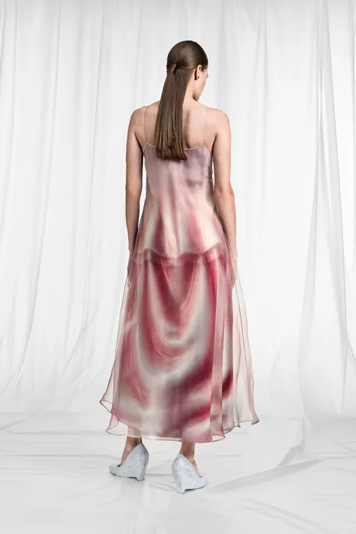 Trompe L'Oeil Organza Slip Dress - Midi Dress