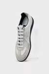 White and grey