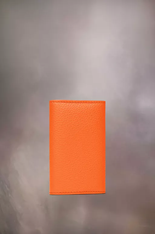 Recicla key chain wallet - Key Rings