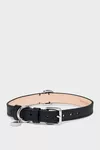 Black - Collar