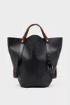 Black and Chestnut