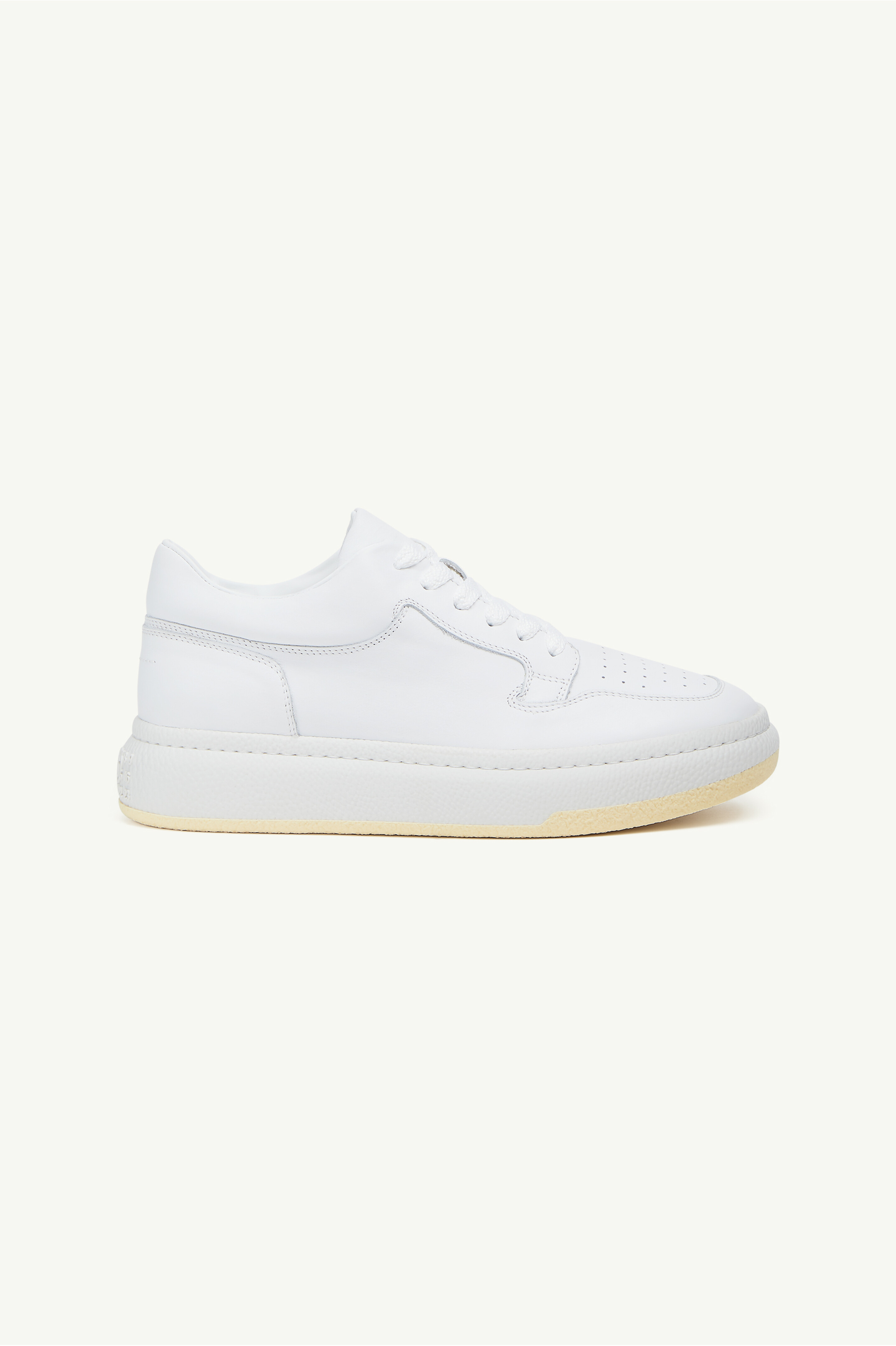 Sneaker basketball basse