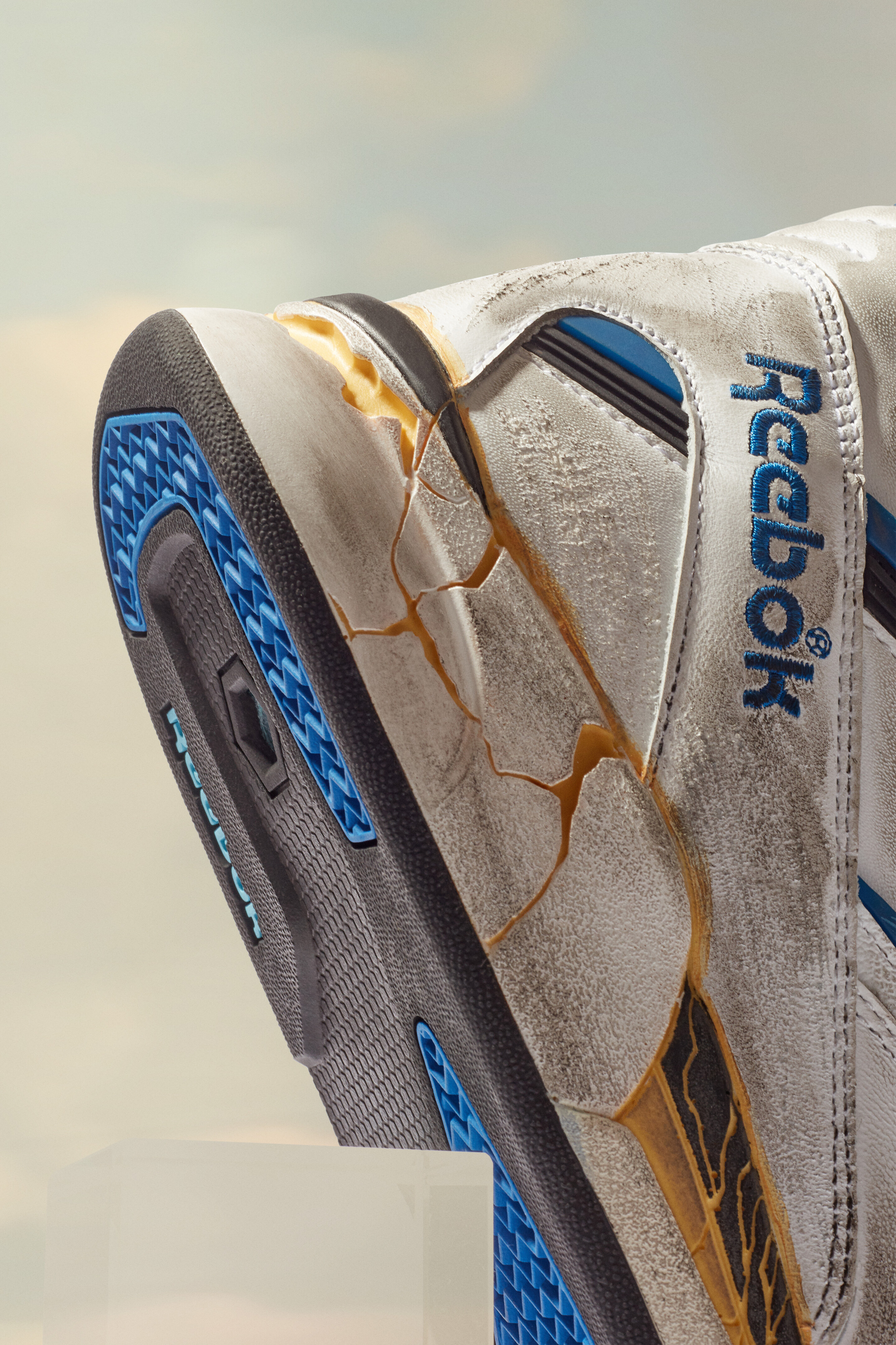 reebok tz pump deadstock